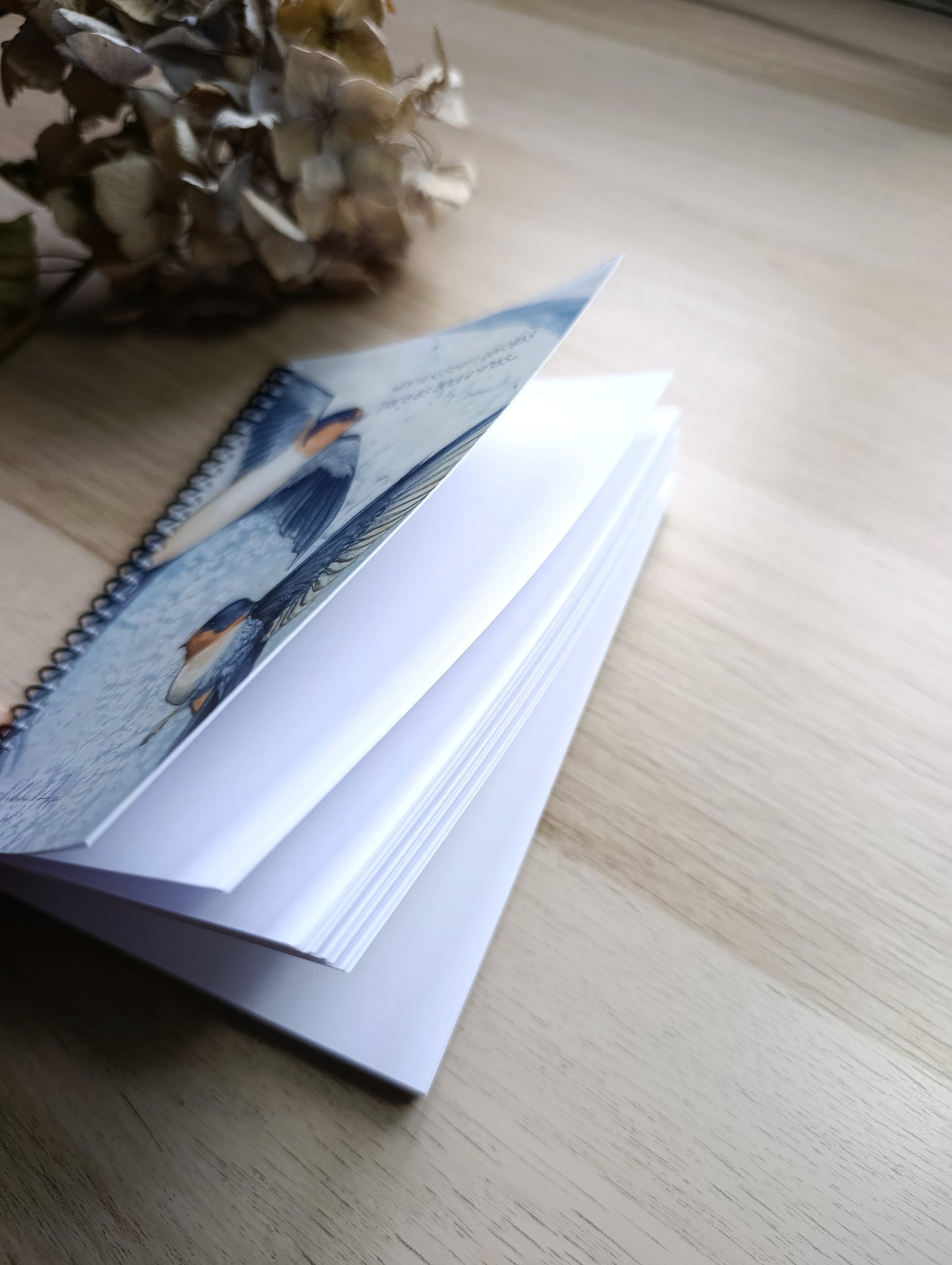 Caderno "Anduriñas"