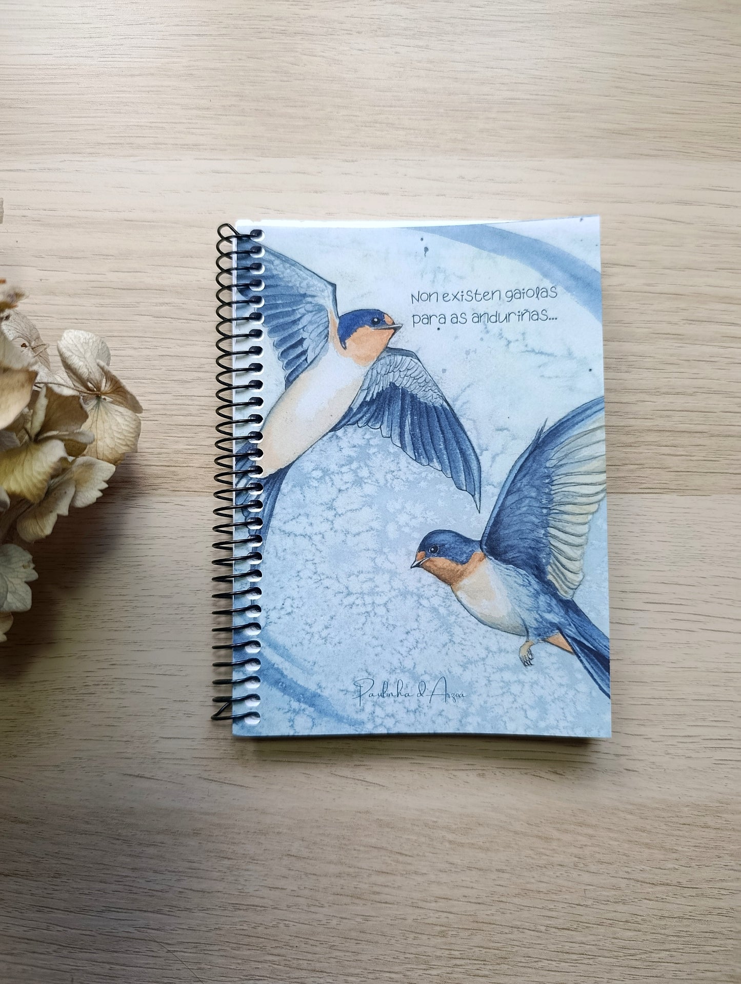 Caderno "Anduriñas"