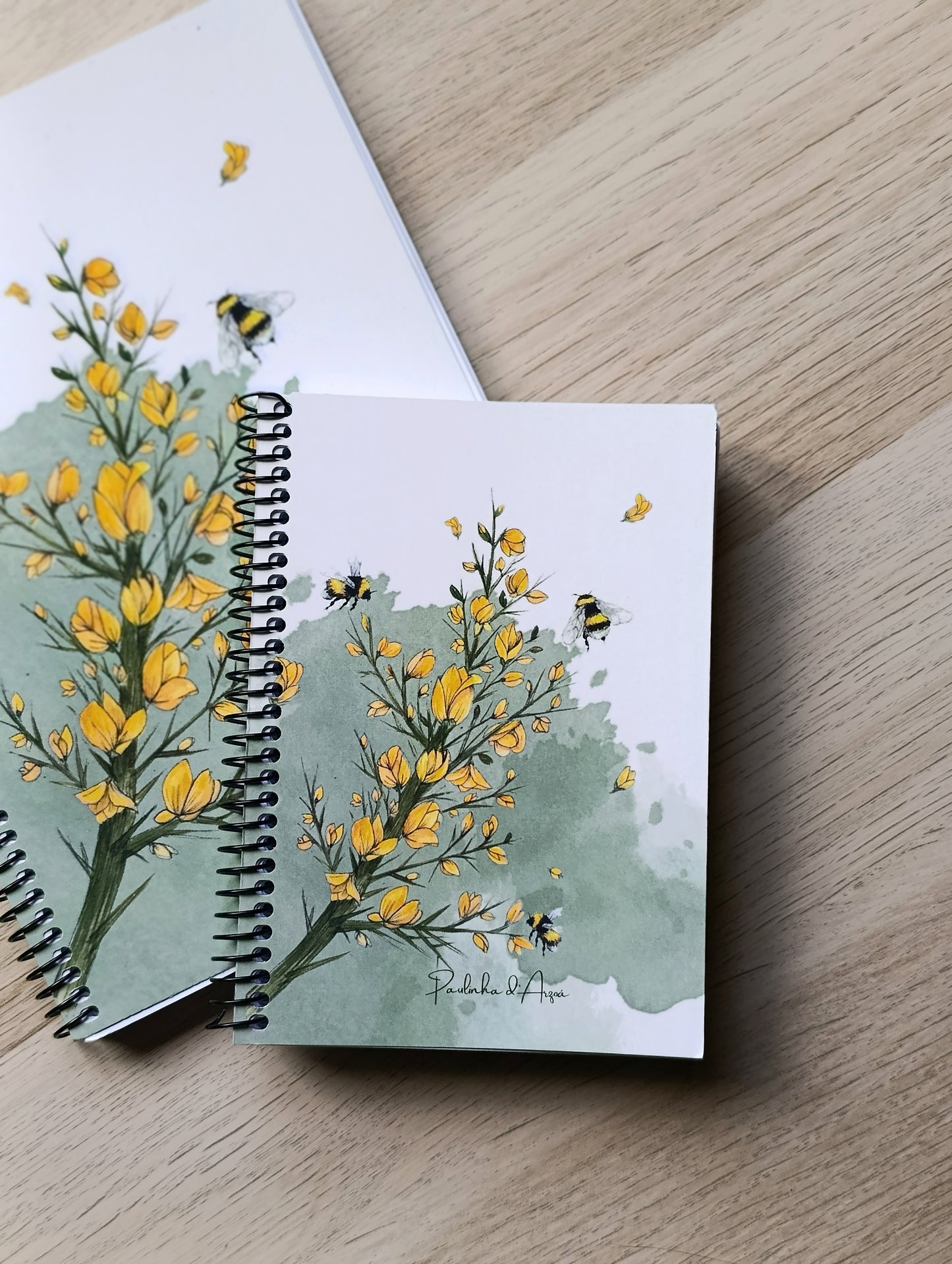 Caderno "Toxo"